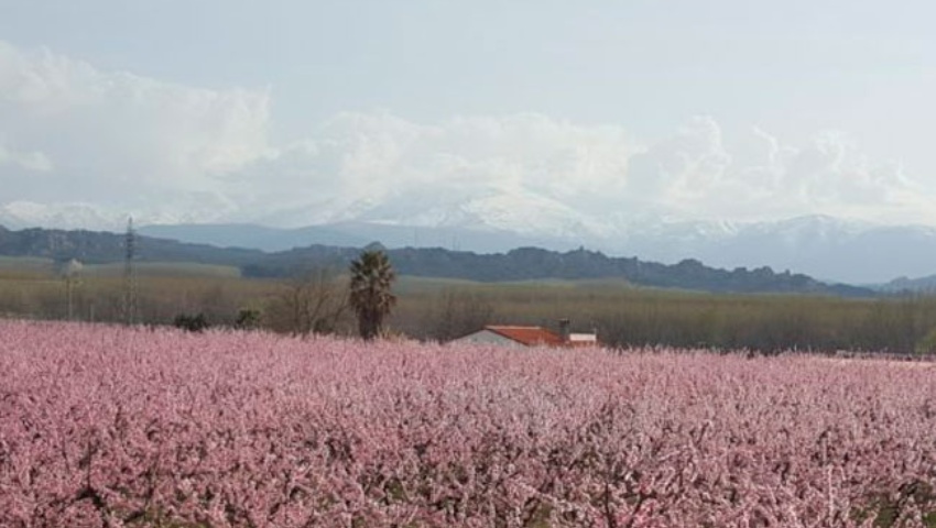 Productos y gastronomía Productos y gastronomía